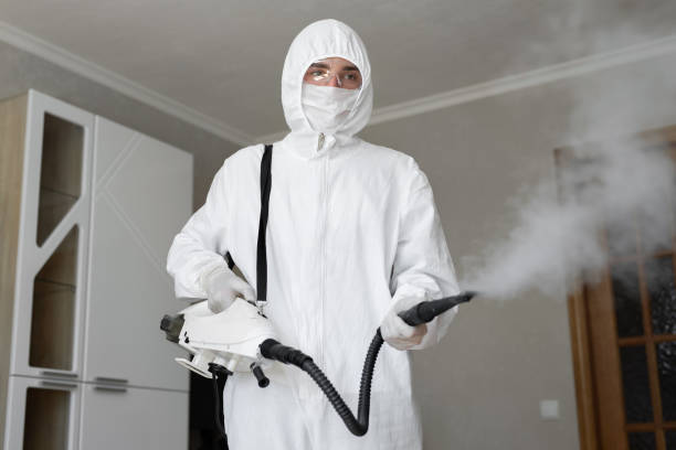 Clarkson Valley, MO Mold Removal Company